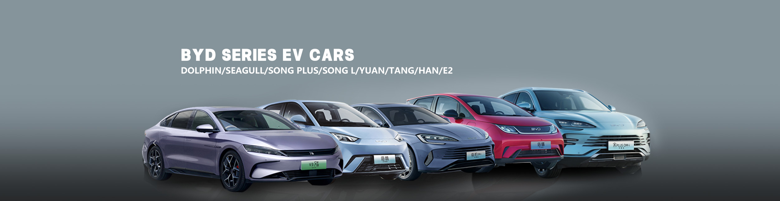 quality EV Electric Vehicle factory